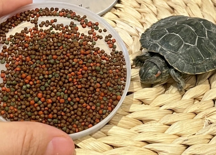 蔬菜類食物